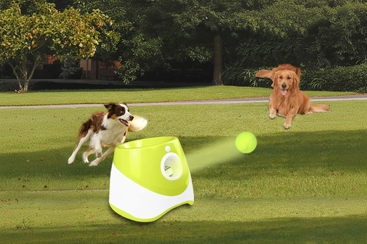 Automatic Ball Launcher for Dogs
