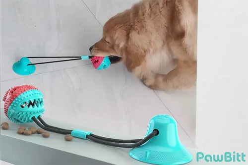 Interactive Suction Cup Dog Toy