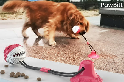 Interactive Suction Cup Dog Toy