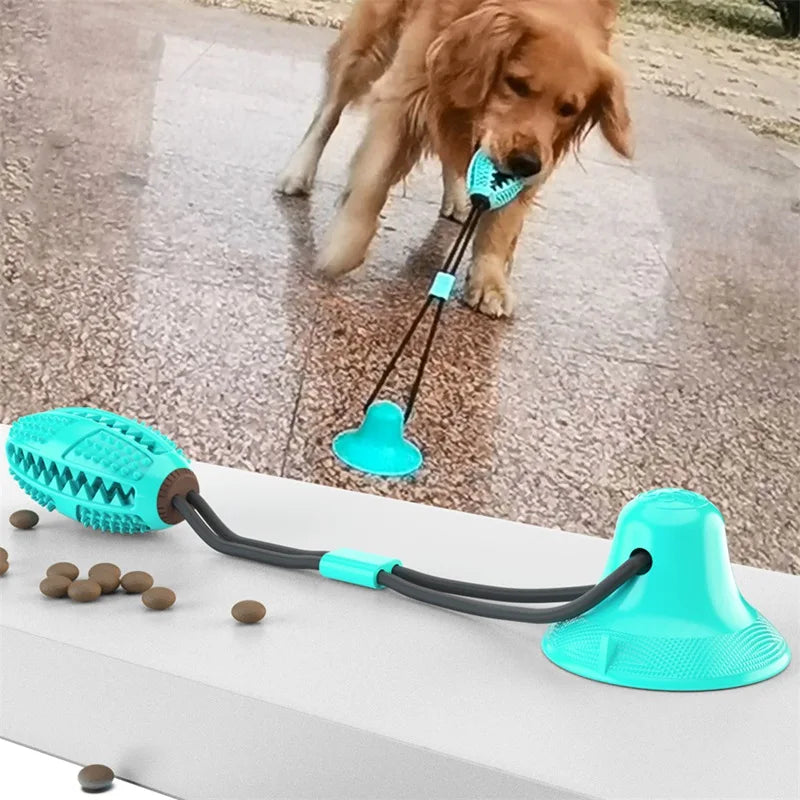 Interactive Suction Cup Dog Toy