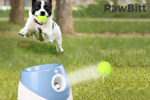 Automatic Ball Launcher for Dogs