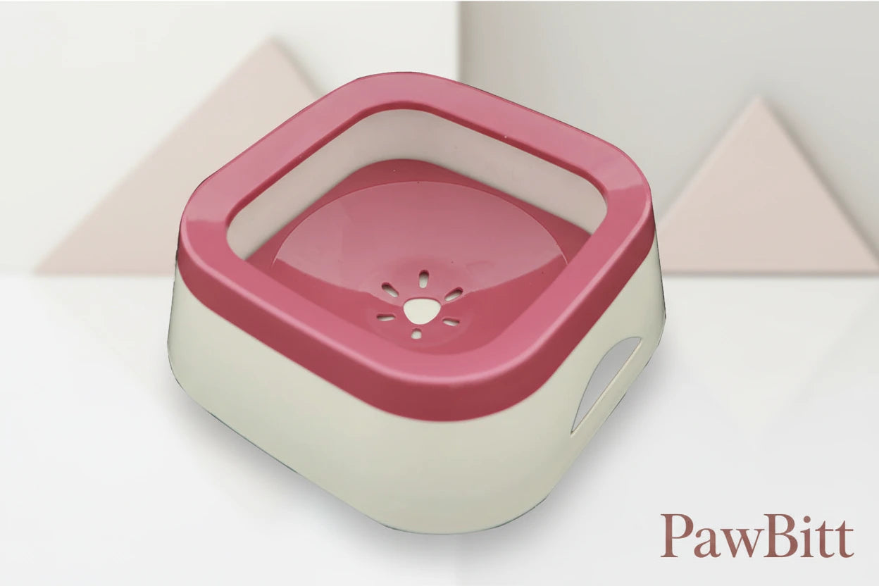 Anti-Splash Cat Water Dispenser