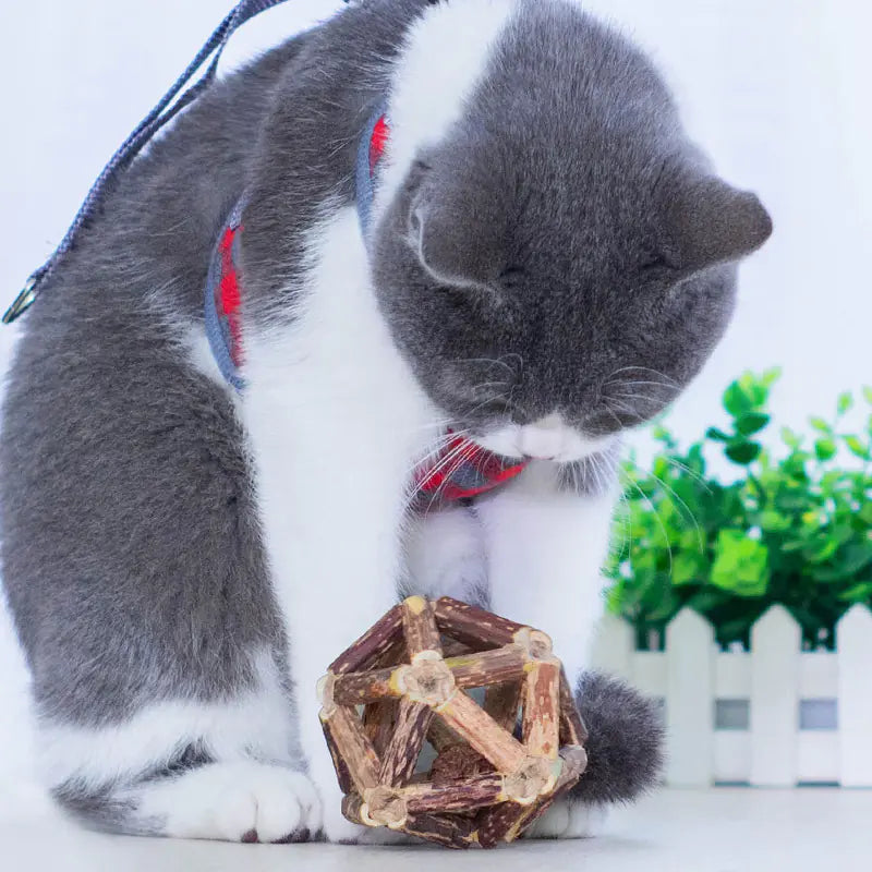 Natural Wood Dental Ball with Bell & Catnip