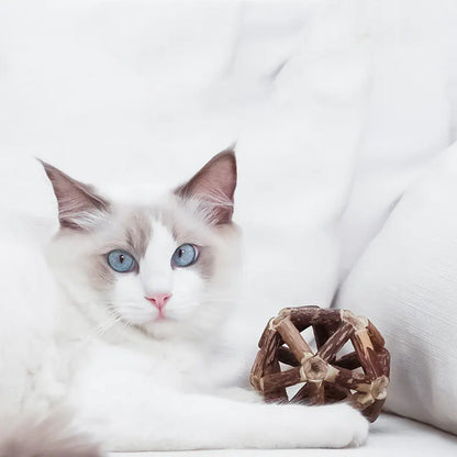 Natural Wood Dental Ball with Bell & Catnip