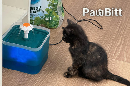 Automatic Circulating Water Dispenser