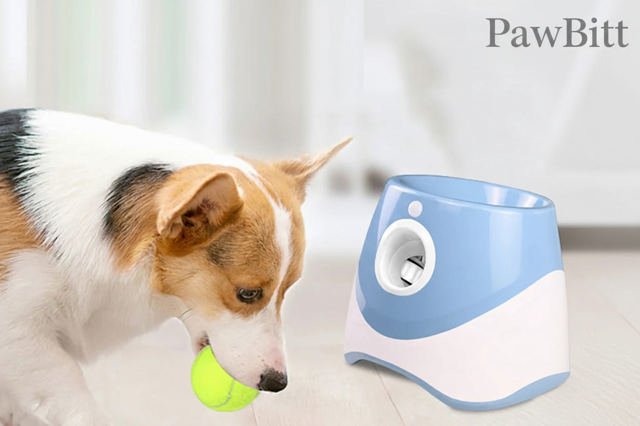 Automatic Ball Launcher for Dogs